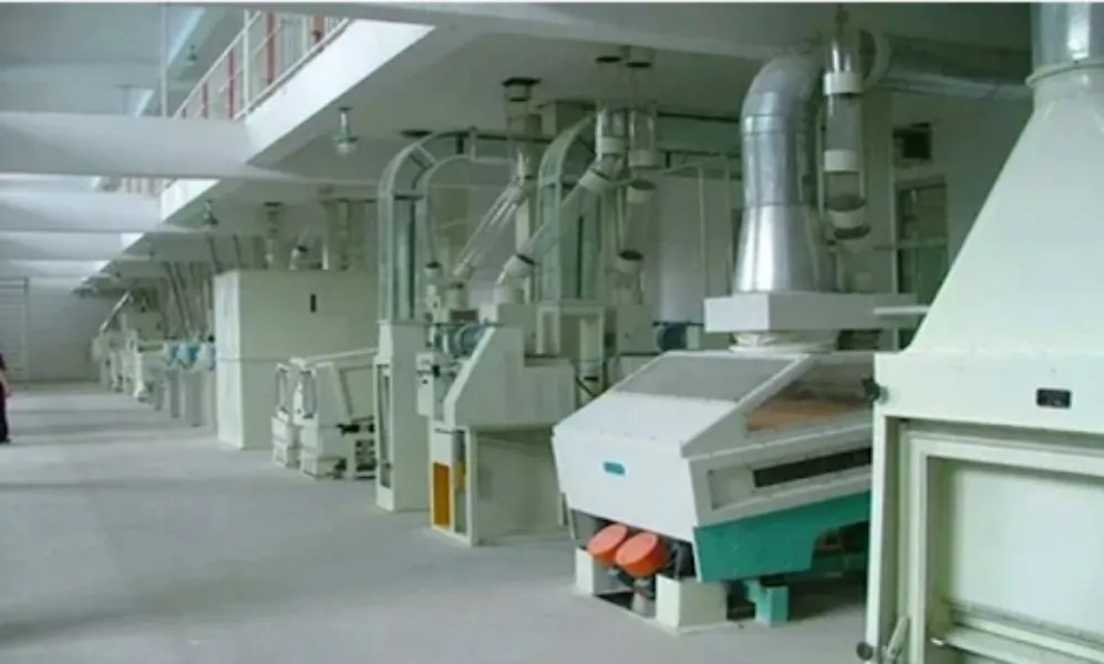 How to Choose a Dal Milling Plant Manufacturer for Your Processing Business