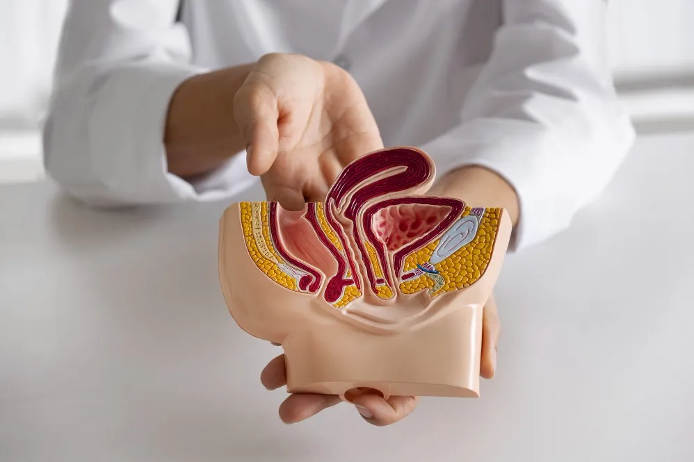 Understanding Prostate Treatment and When Urinary Changes Need Attention