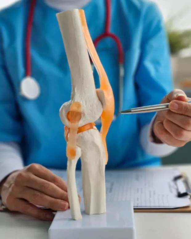 What to Look for When Choosing a Female Orthopedics Surgeon for Knee or Shoulder Care