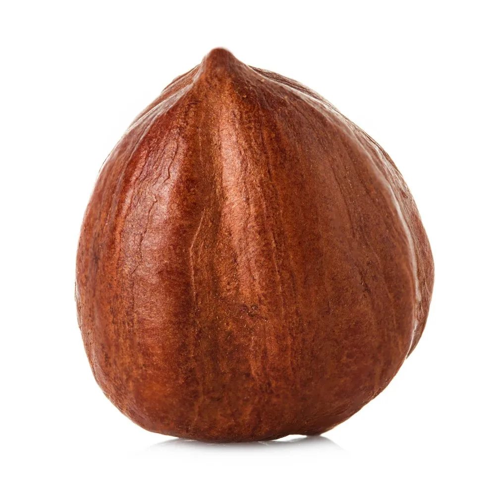 Why Hazelnut Has Become a Favourite Ingredient in Premium Bakery and Café Menus in Purasaiwalkam