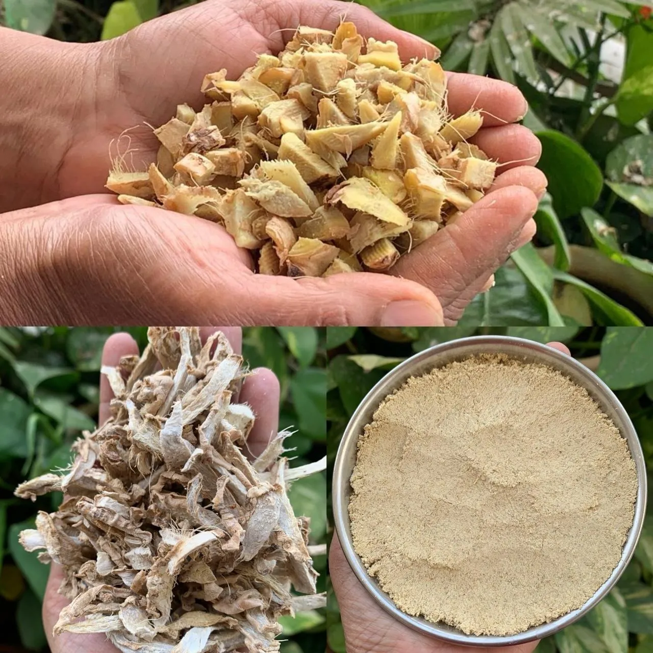 Bulk Ginger Powder Exporter from India | Global B2B Supplier | Indian Ginger Powder Exporter