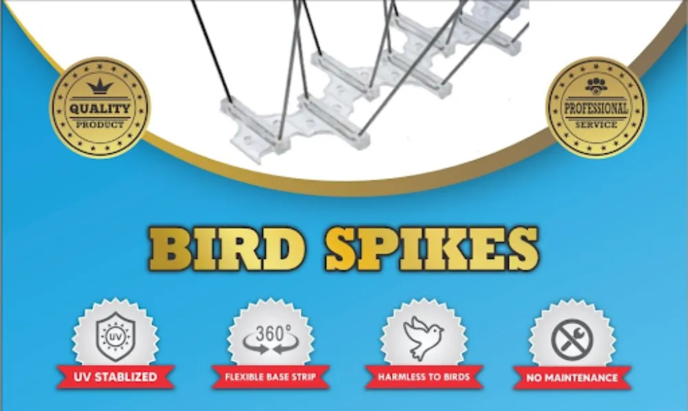 Questions to Ask Before Choosing Bird Spikes for Long Term Bird Control