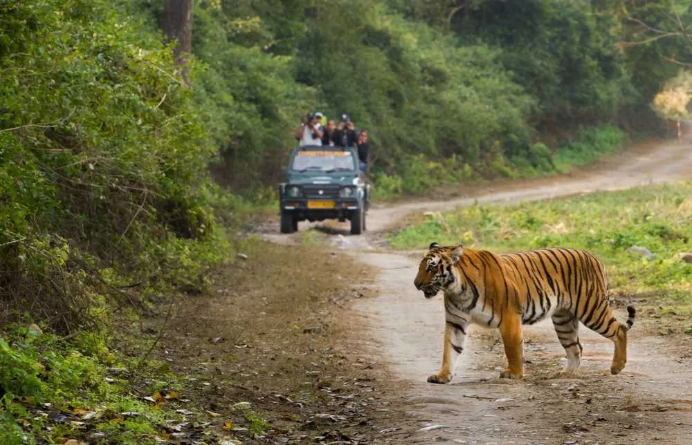 Tourist Places in Odisha
Bhitarkanika National Park
Bhitarkanika National Park Tourism
Bhitarkan...