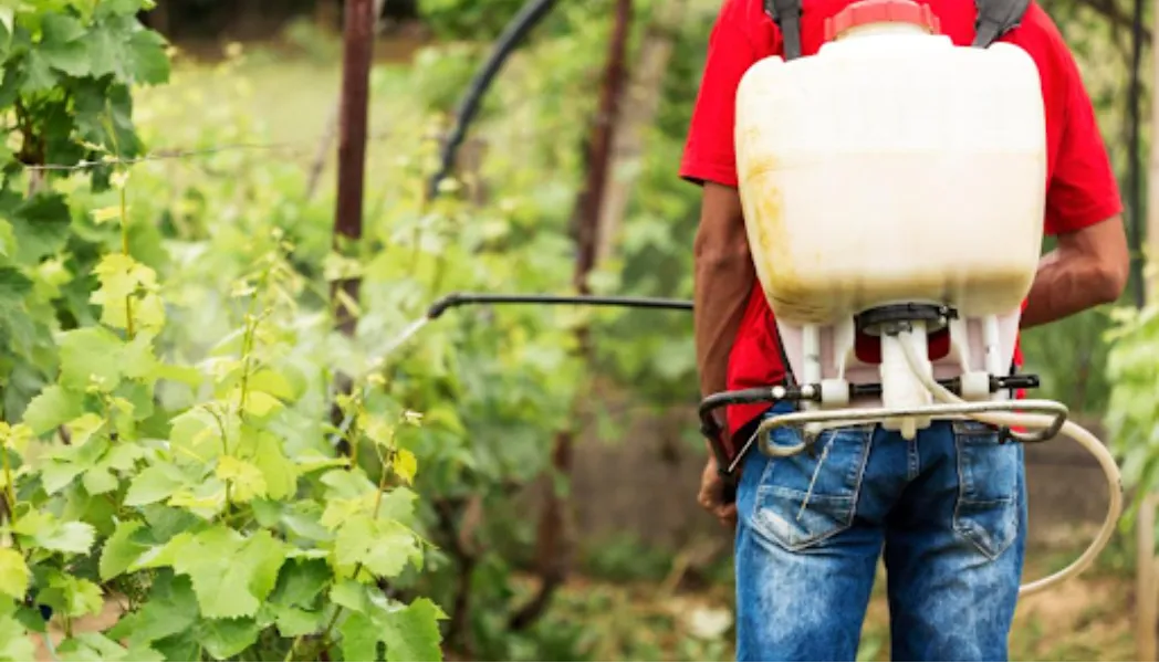 Know the Signs of a Trusted Double Pump Battery Sprayer Supplier Before You Buy