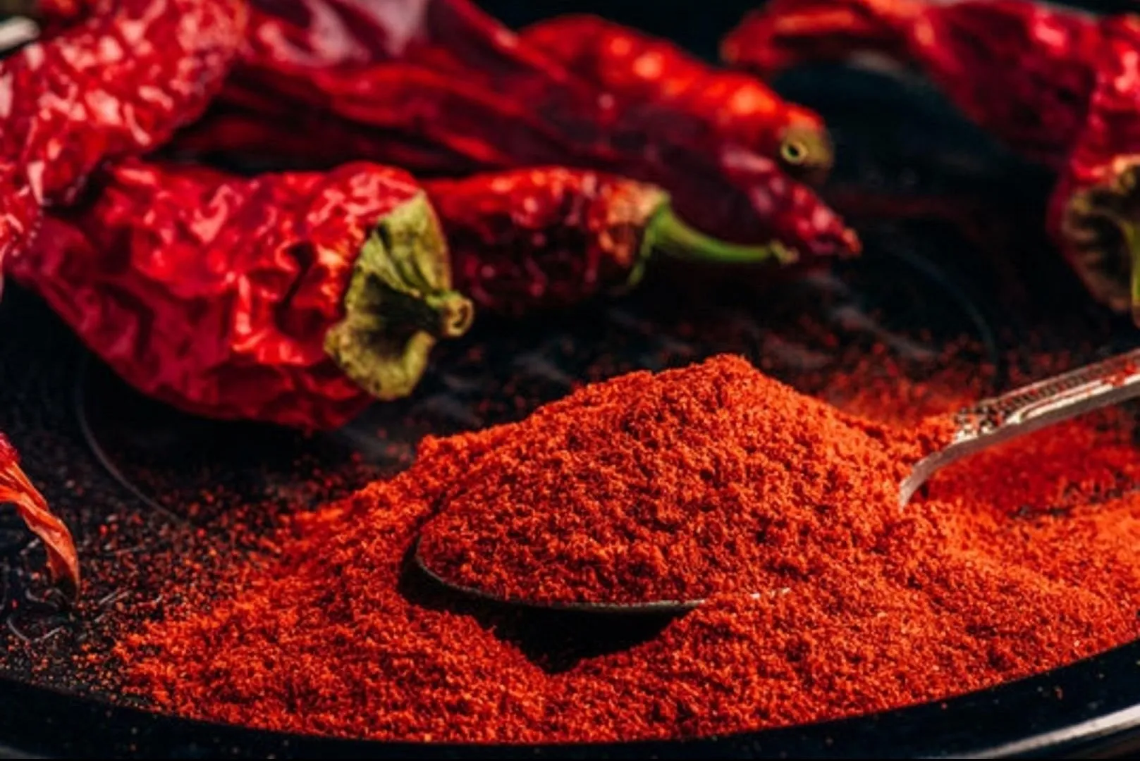 Red Chilli Powder Exporter India | Bulk Chilli Powder Supplier 🌶️