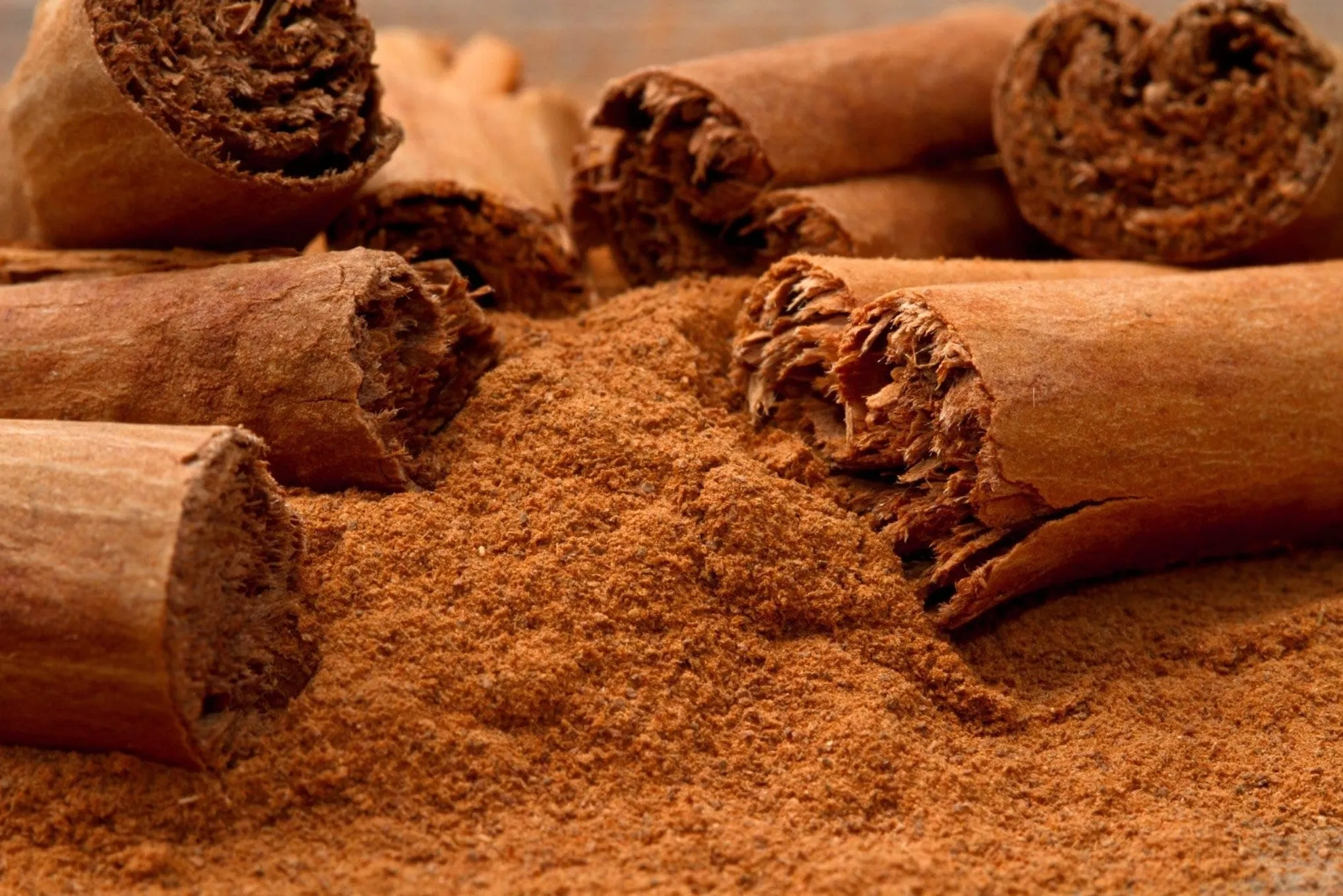 Cinnamon Powder Exporter India | Organic Bulk Spice Supplier | SS Overseas