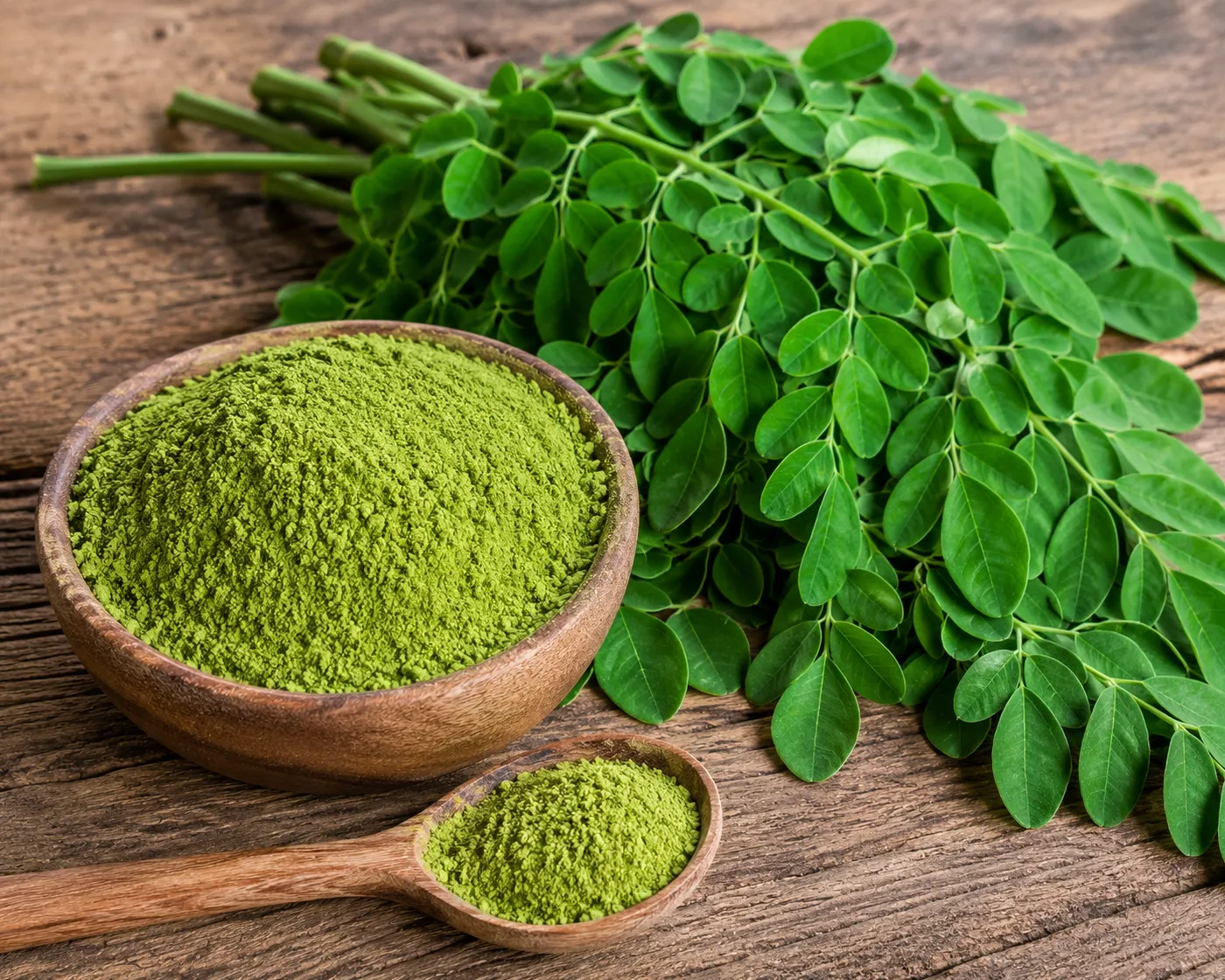 Buy Premium Quality Moringa Powder in Bulk from SS Overseas India - Wholesale Exporter