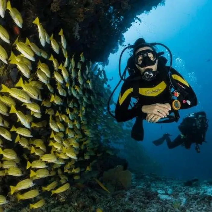 Dubai Scuba Dive