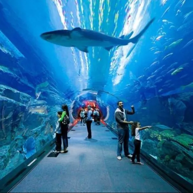 Dubai Aquarium & Underwater Zoo