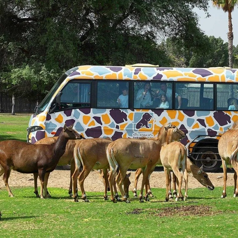 Dubai Safari Park