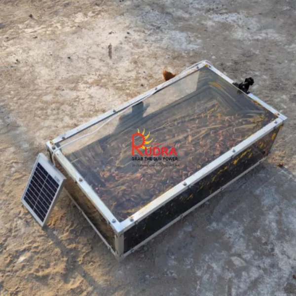 Solar Dryer in Hamirpur for Pulses, Millets and Farm Processing