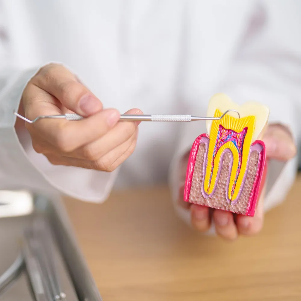 Signs You May Need a Root Canal Instead of a Simple Filling
