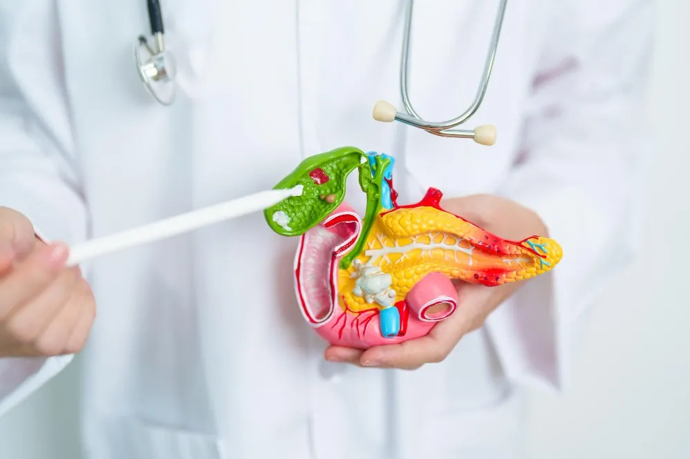 Choosing a Gall Bladder Stone Surgeon When Symptoms Keep Returning