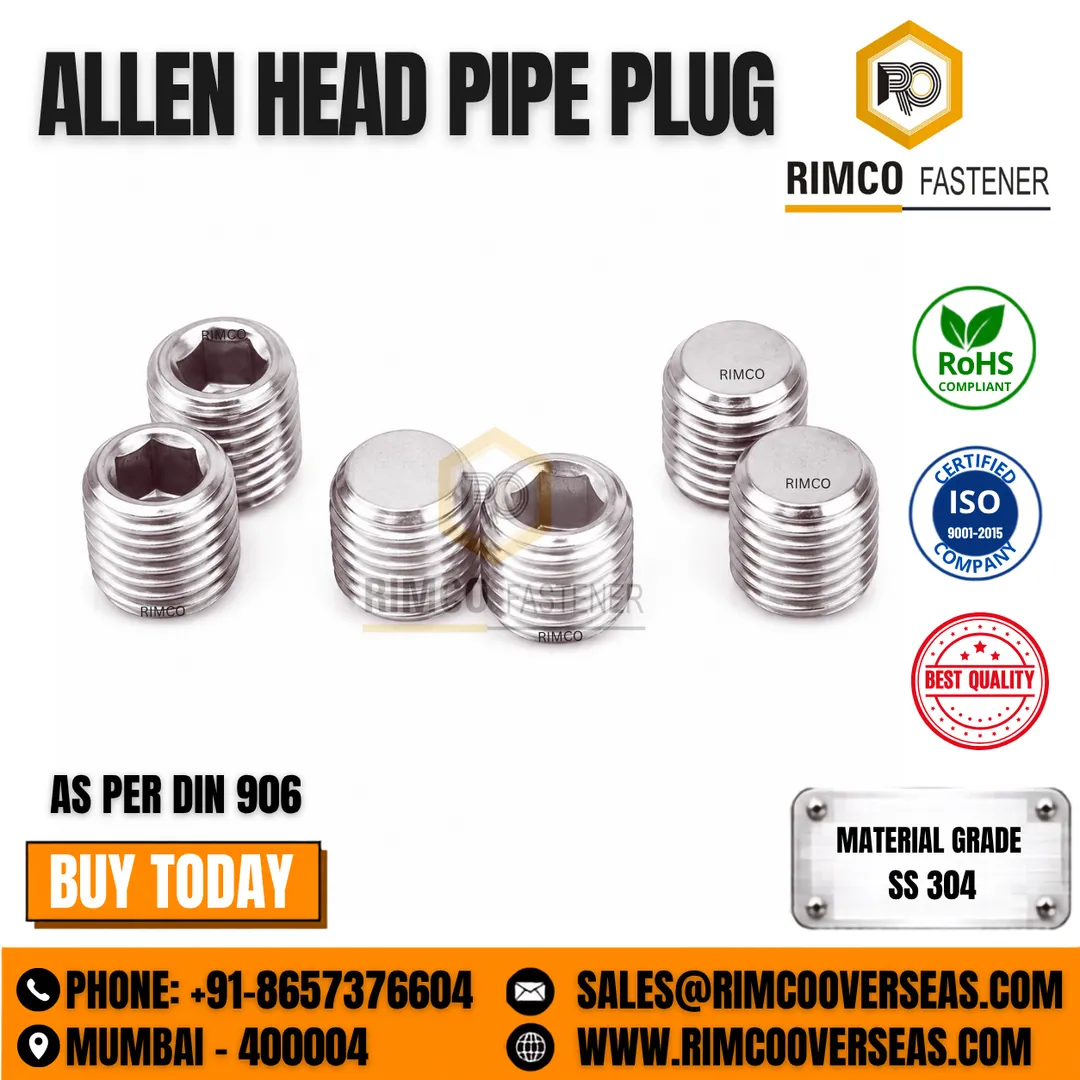 SS 304 ALLEN HEAD PIPE PLUG
