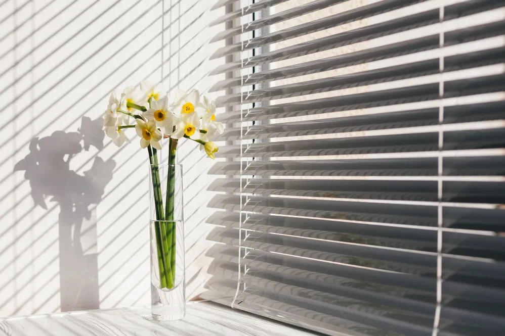 How to Choose Blinds and Sunscreen for Bengaluru Windows