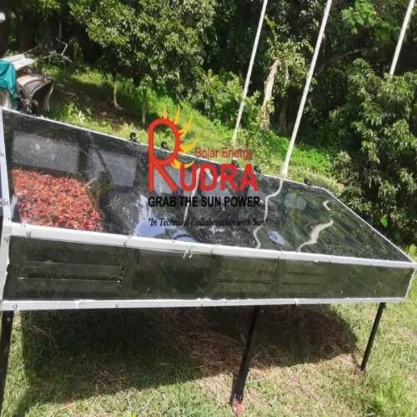 Solar Drying Machine in Araria