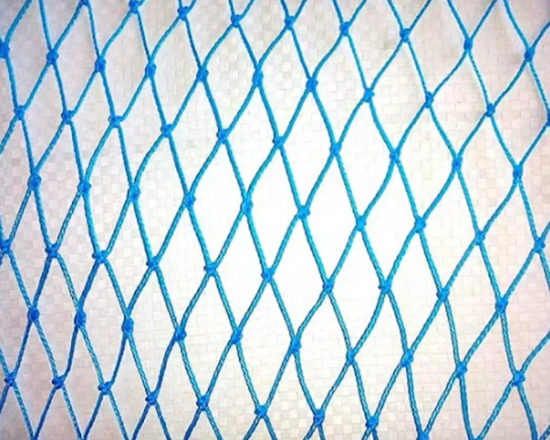 How to Choose the Right Bird Nets for Homes and Commercial Buildings