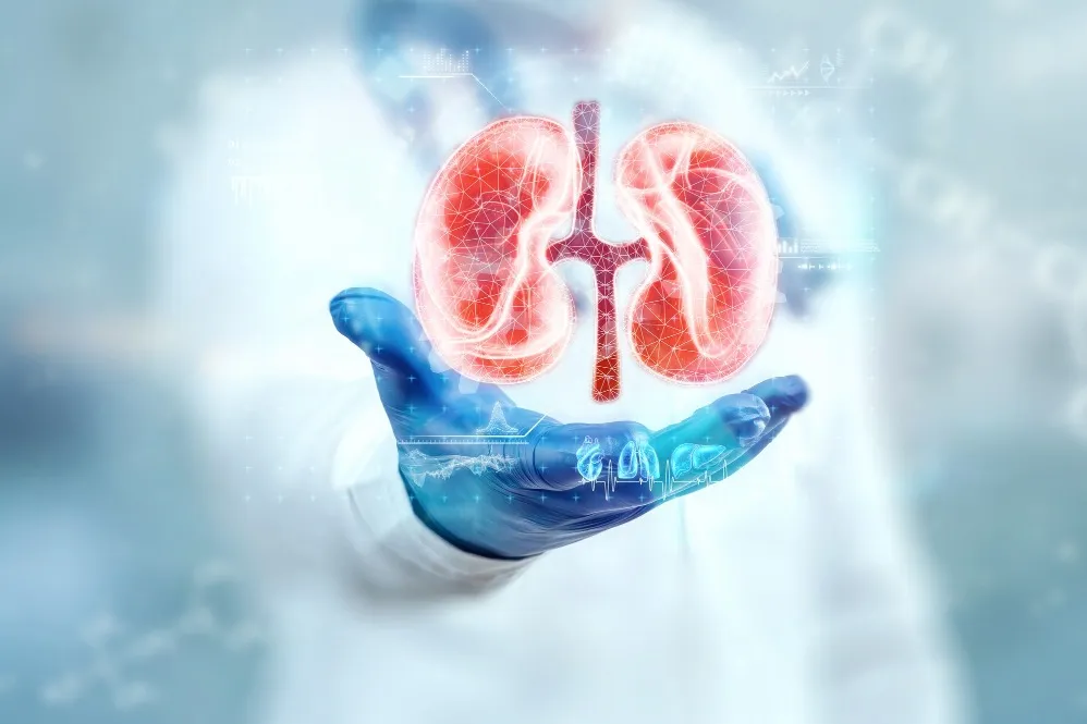 Nephrology: Protecting Your Kidney Health Before Problems Become Serious