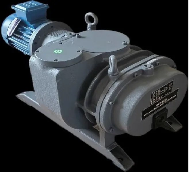 Roots Vacuum Booster Pumps