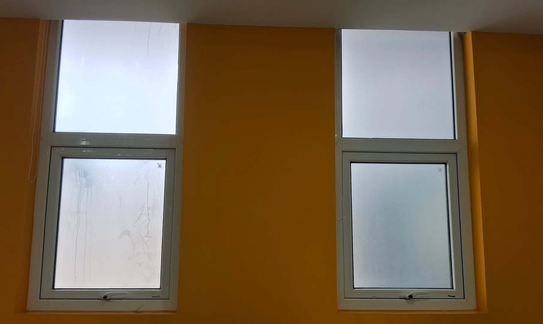 Privacy Sticker Suppliers for House in Coimbatore
