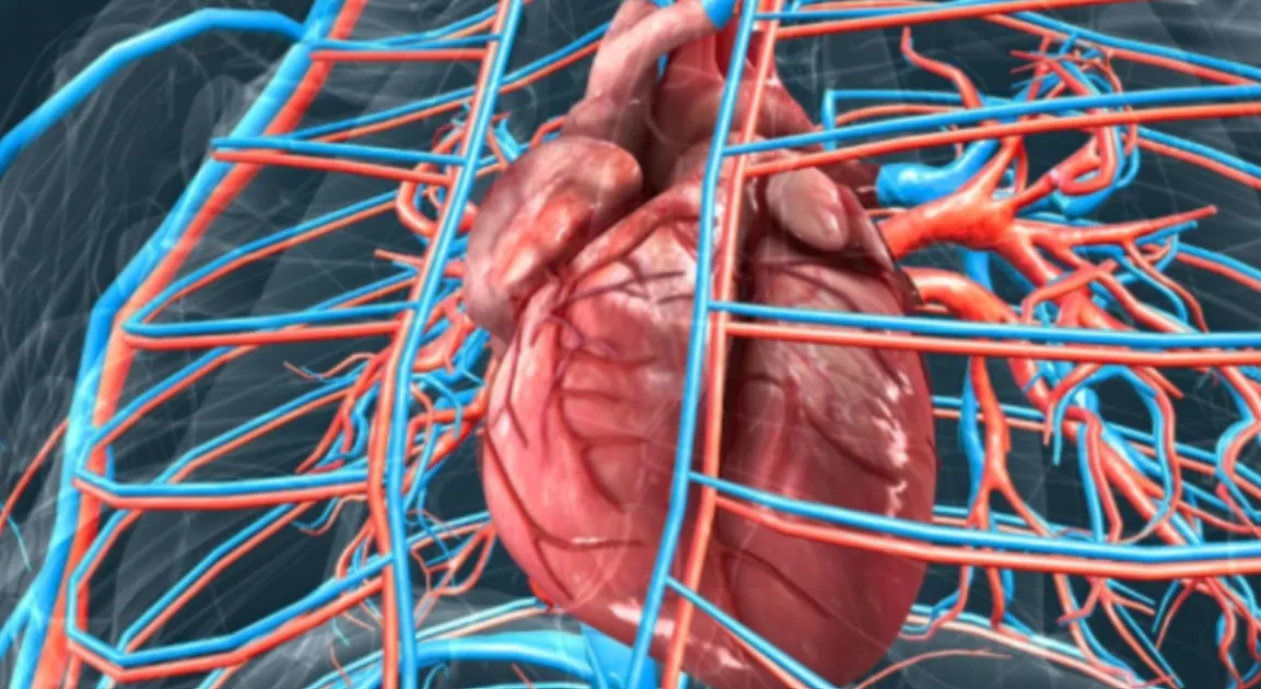 How Endovascular Procedures Treat Selected Vascular Conditions From Inside the Blood Vessel