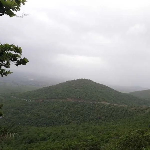 Places to Visit Near Indore
Janapav
Janapav, Indore Overview
Nestled among similar hills of the M...