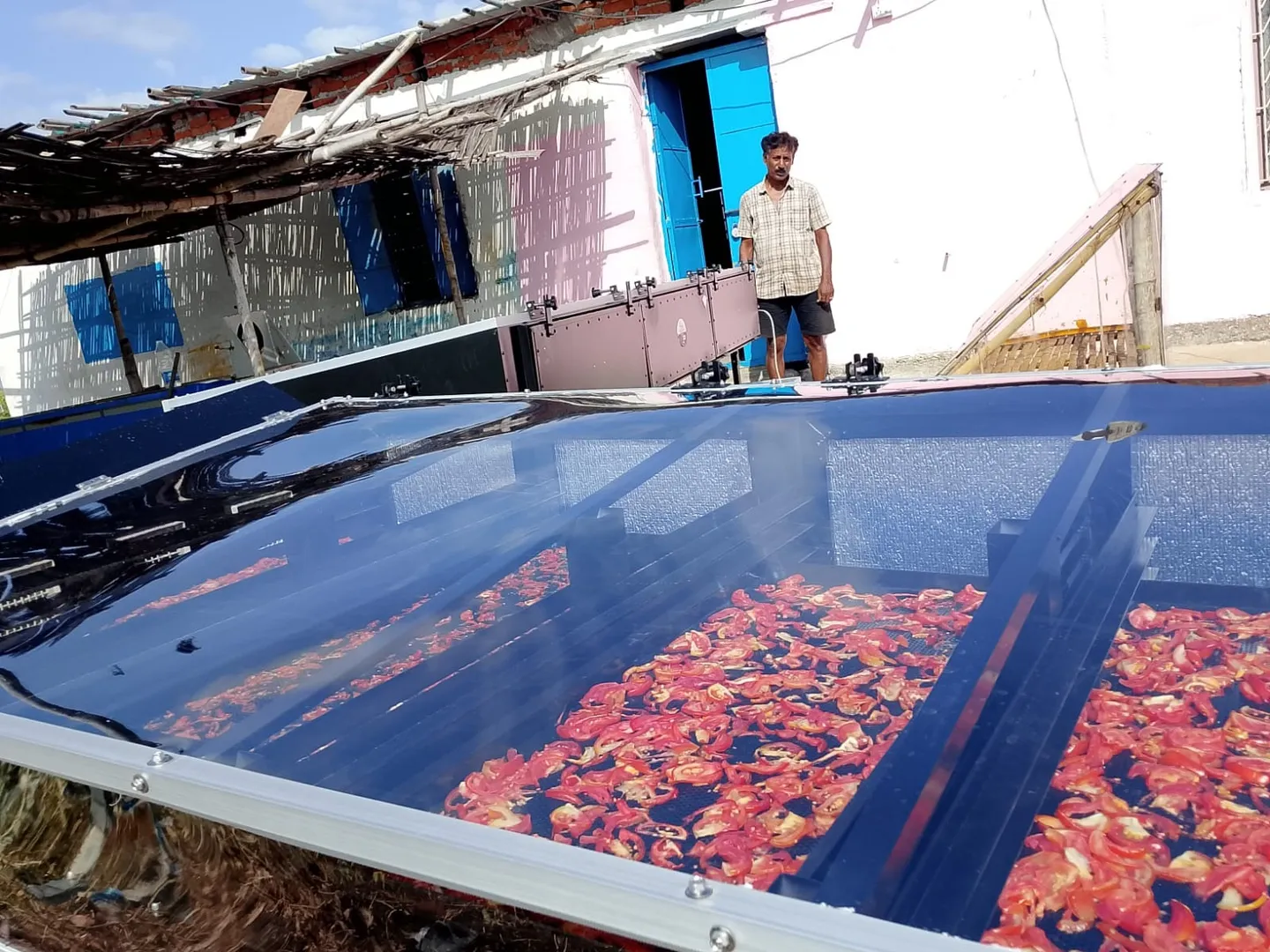 Solar Drying Machine in Buxar