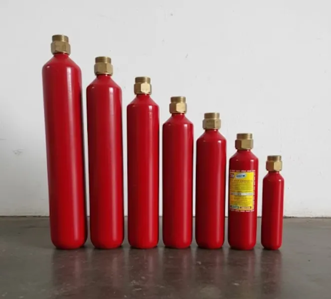 Better Fire Preparedness Through the Right CO2 Cartridge 60 to 300 GMS