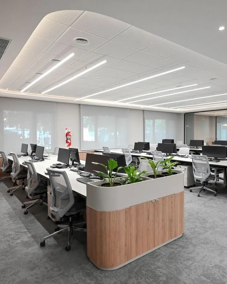 Open Office Workstations with Integrated Planter Divider