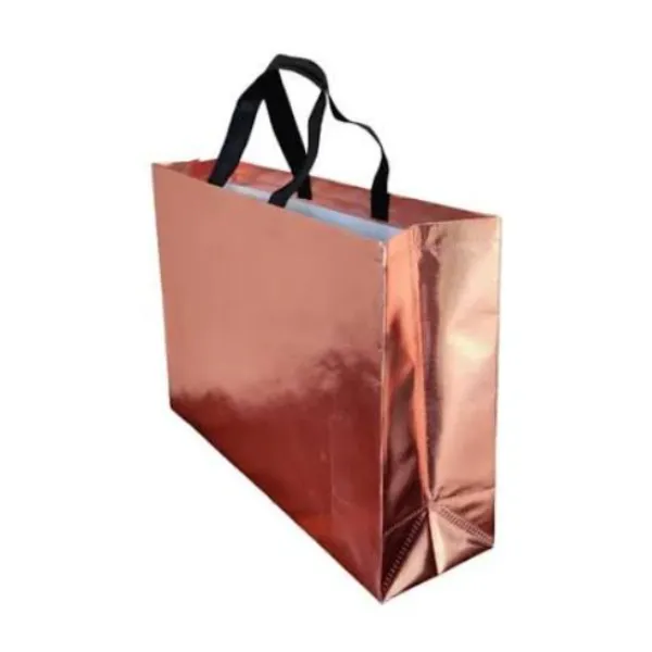 Non Woven Bopp Bags Manufacturer in India