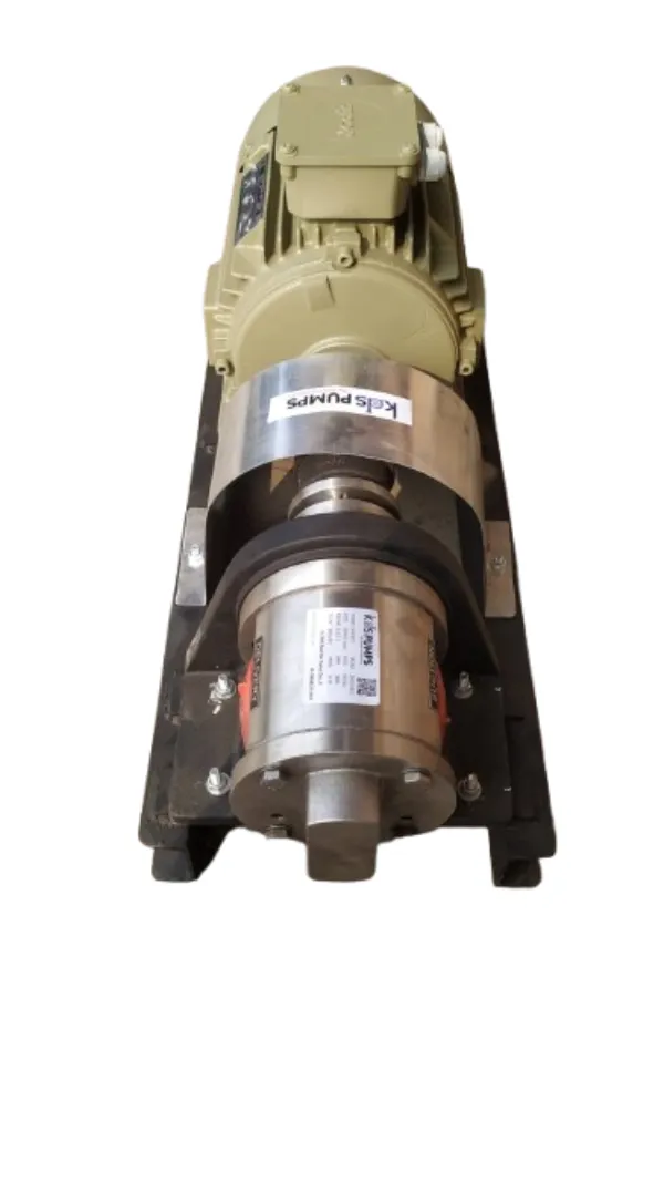 SS316 Gear Pump Supplier in Ahmedabad