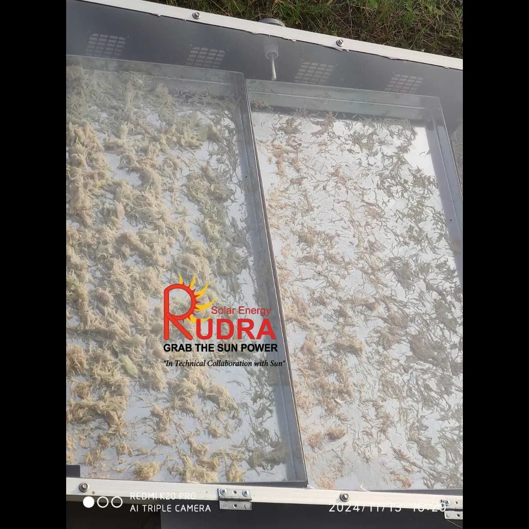 Industrial Solar Dryer Odisha