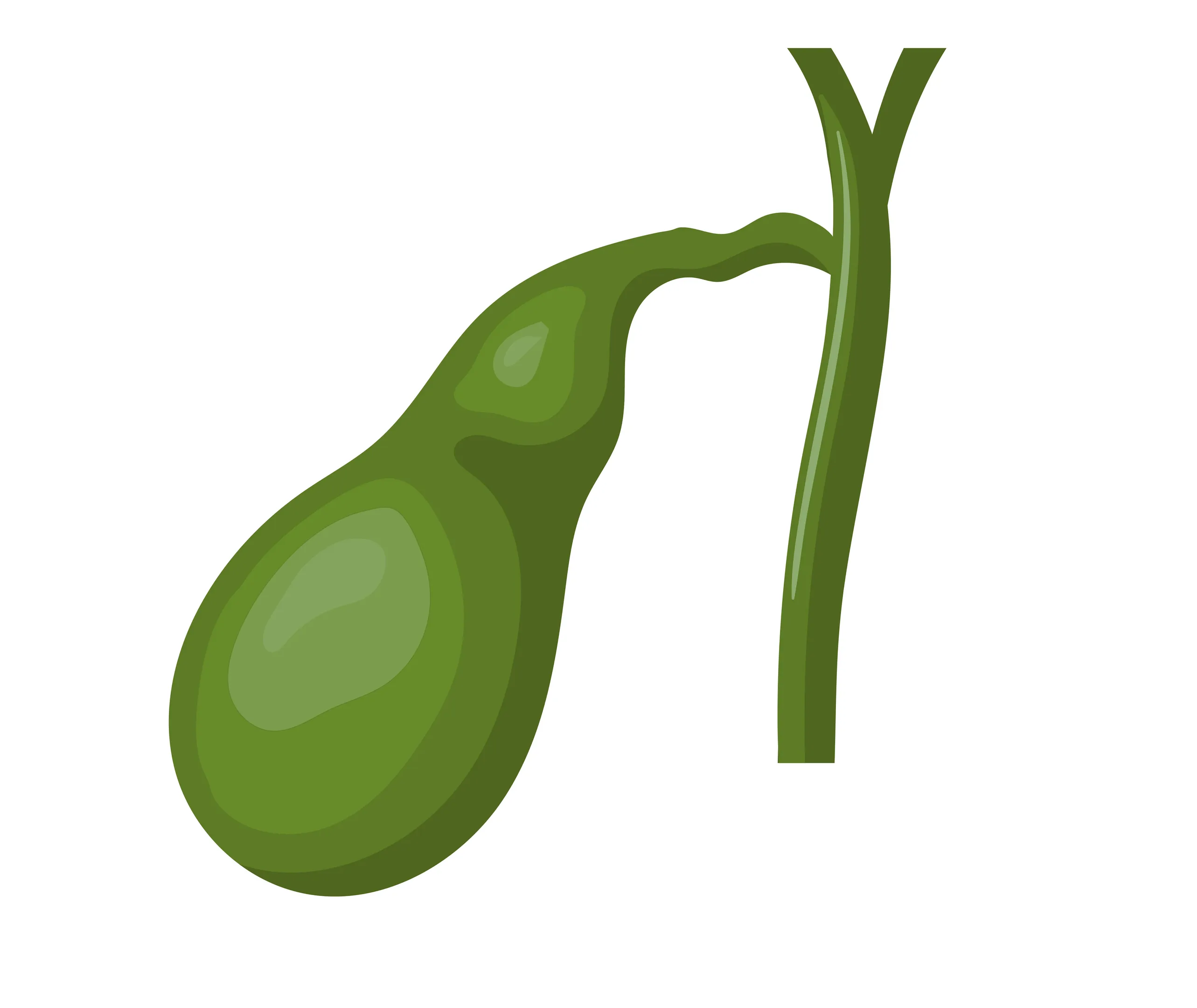 Questions to Ask a Gallbladder Surgery Specialist in Thane Before Your Procedure