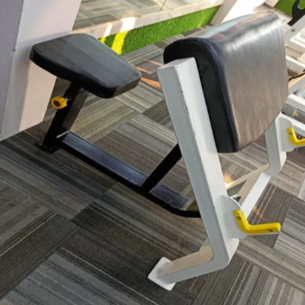Preacher Curl Training Bench and Its Role in Focused Arm Training