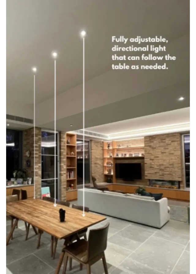 Adjustable Directional Lighting: A Smart Way to Illuminate Modern Dining & Living Spaces