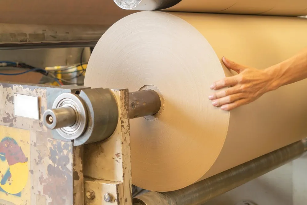 High Speed Paper Plate Machine Buying Guide for Scaling Production