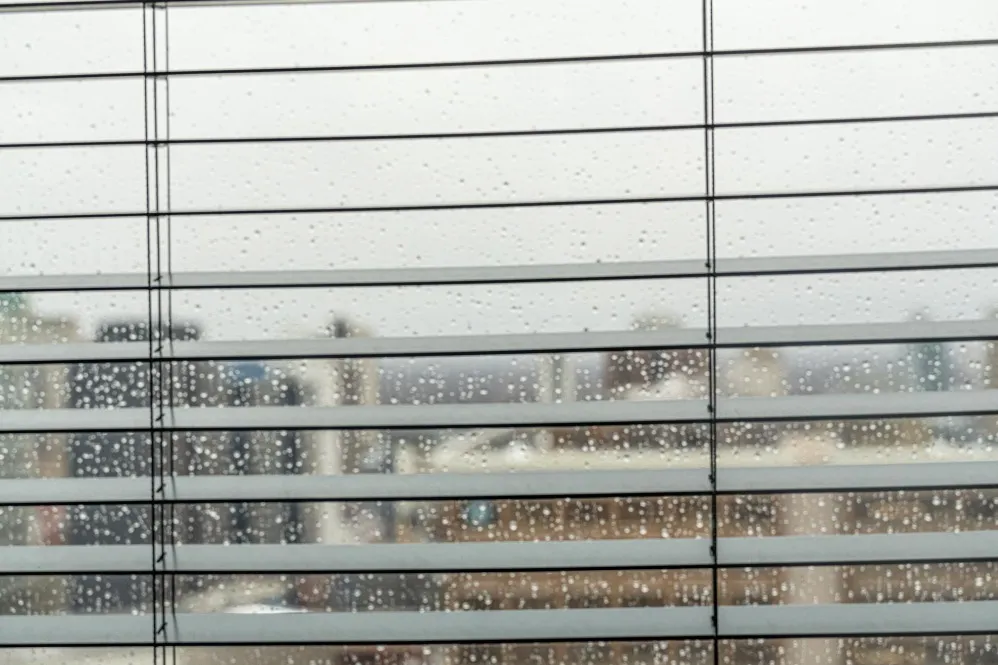 Monsoon Blinds: Practical Window Protection for Rainy Weather