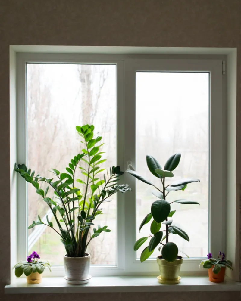 Common Mistakes to Avoid When Selecting UPVC Windows