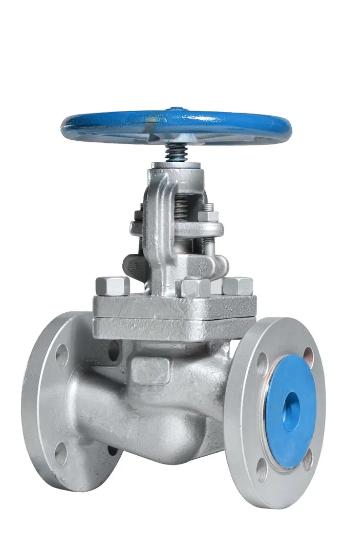 Understanding SS Gate Valves Before Selecting Them for Industrial Pipelines