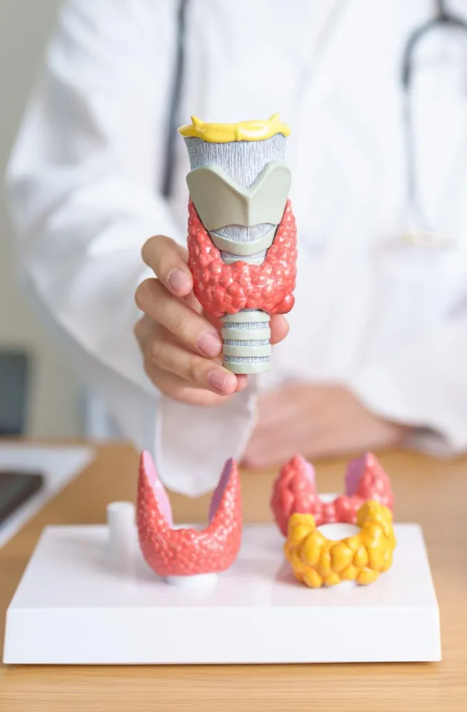 Choosing a Thyroid Treatment Doctor for Persistent Thyroid Symptoms
