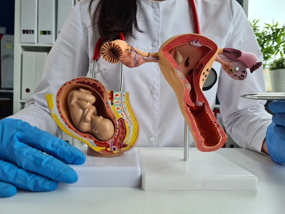 Finding an Infertility Specialist Doctor Who Personalizes Treatment