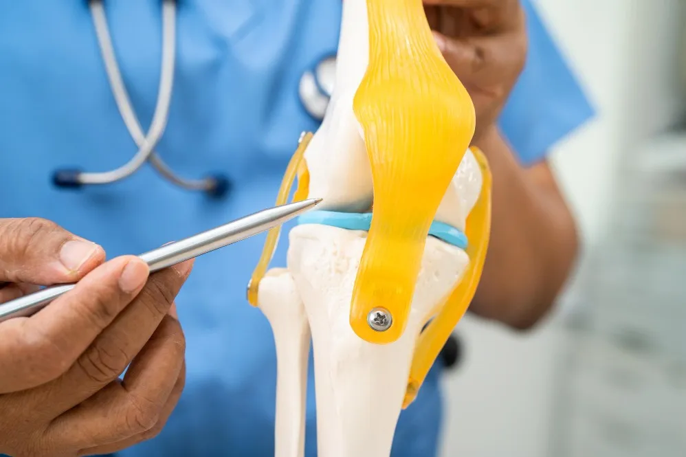 When Should You Consult a Bone Specialist for Joint Pain?