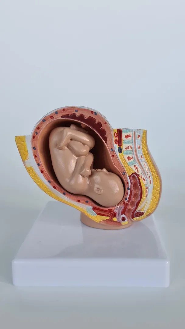 When to Consult a Recurrent Miscarriage Specialist and What Evaluation May Involve
