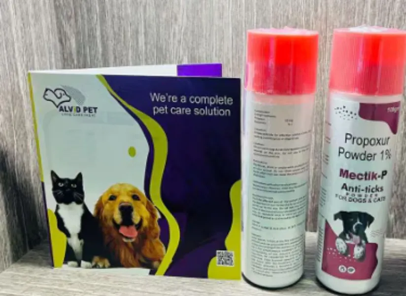 Understanding a Pet Range Before Choosing Supplements and Care Products