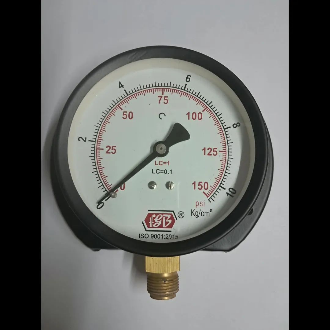 4''DIAL0-150 PSI 3/8 BSP BOTTOM MS Casing with Internal Brass