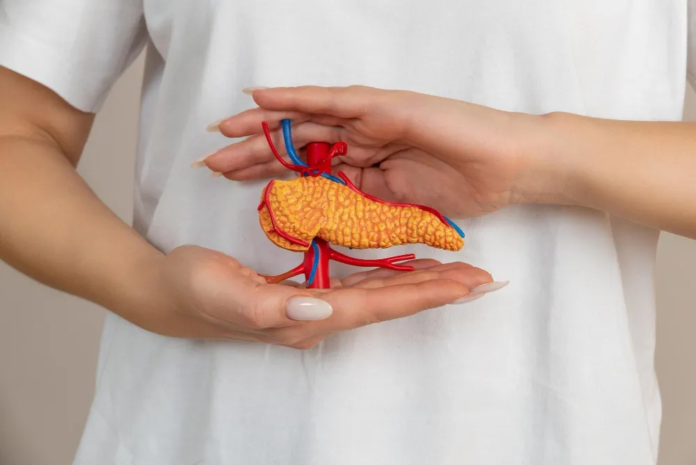 Pancreatic Cancer Treatment in Pune and How to Prepare for Specialist Care