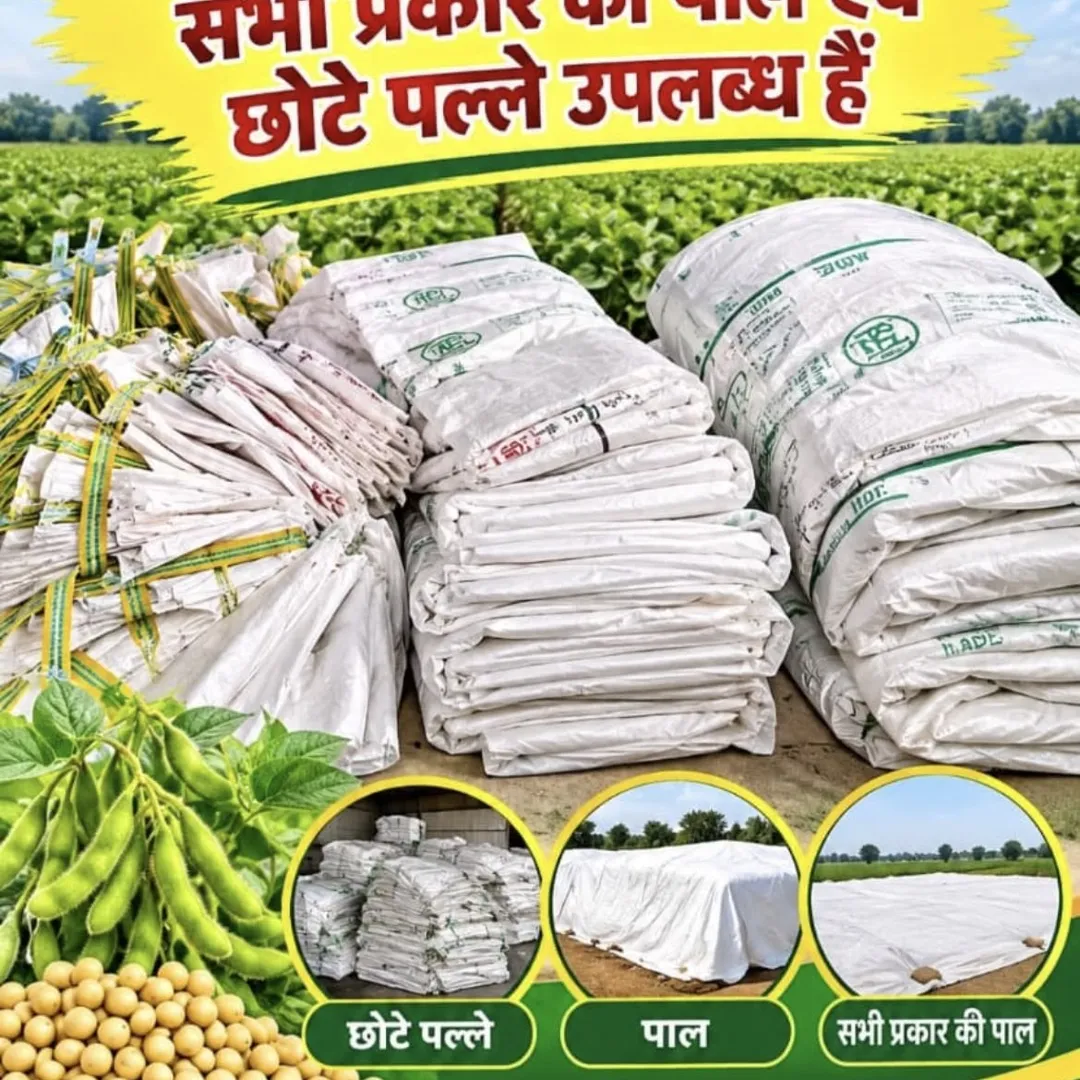 pal tripal पाल त्रिपाल