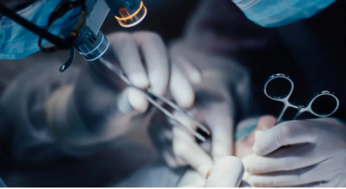 Nerve Injuries in the Hand What Determines Recovery and Treatment?