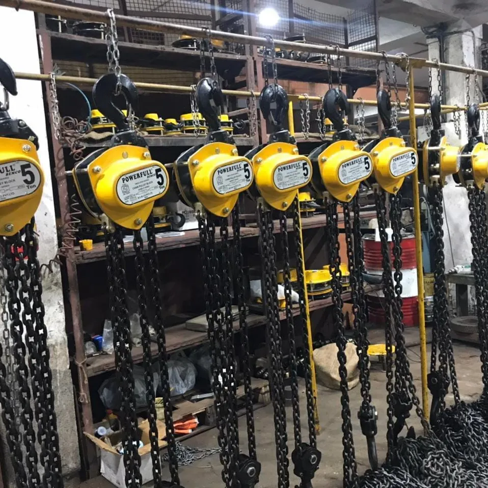 G100 Chain Pulley Block