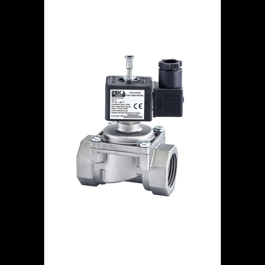 GAS Solenoid Valve Supplier In Gujarat